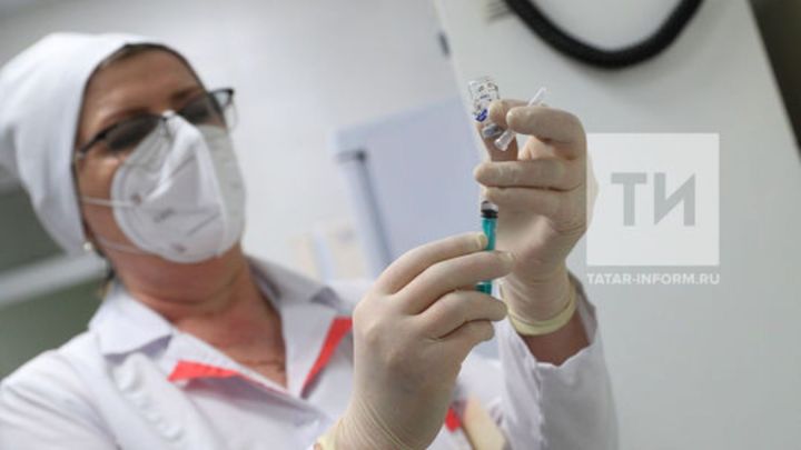 Февраль — талпан энцефалитына каршы вакцинация өчен иң яхшы вакыт