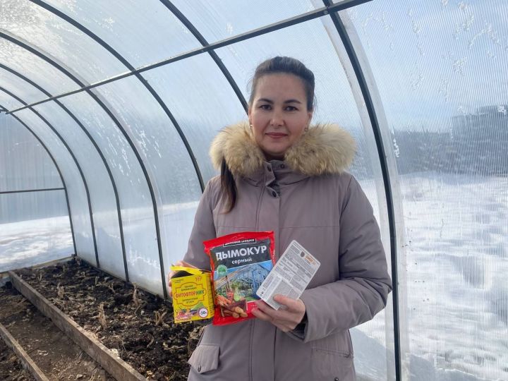 Яңа сезонга теплицаны ничек әзерләргә?