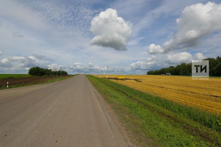 Шигъри мизгел