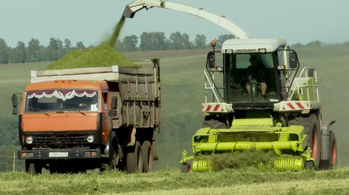 В Заинском районе началась кормозаготовительная кампания