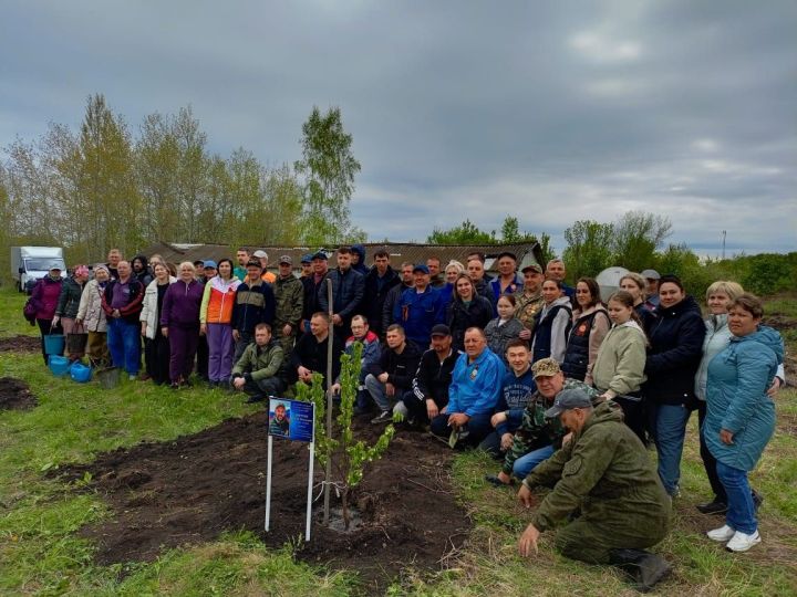 80 төп җимеш агачы утыртылган алма бакчасы тынычлык символы булсын