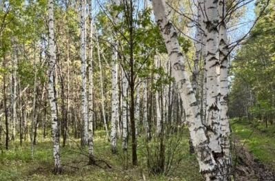 Народные традиции и приметы на Семенов день 14 сентября