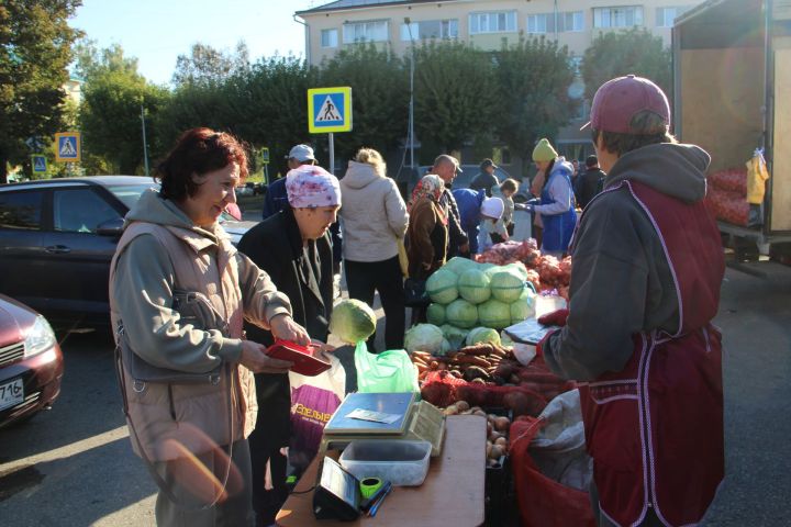 Сельхозярмарка в Заинске: натуральные продукты от местных фермеров