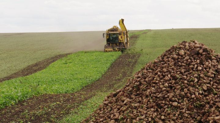 Зәй аграрийлары коры һава торышыннан максималь файдалана
