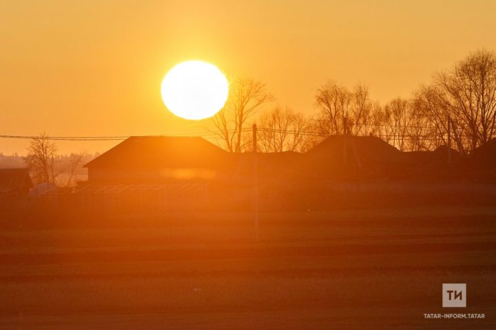 Шигъри мизгел