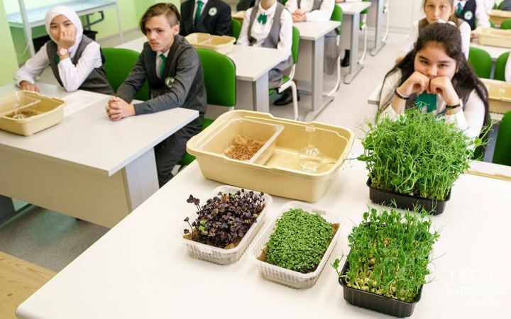 Татарстанның 35 мәктәбендә агротехнология классы ачылачак