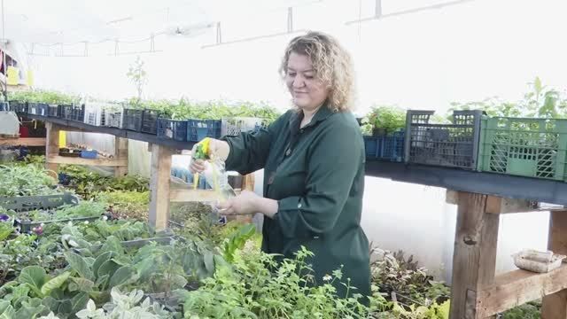 Мария Гарапшина раскрывает секреты идеальной рассады