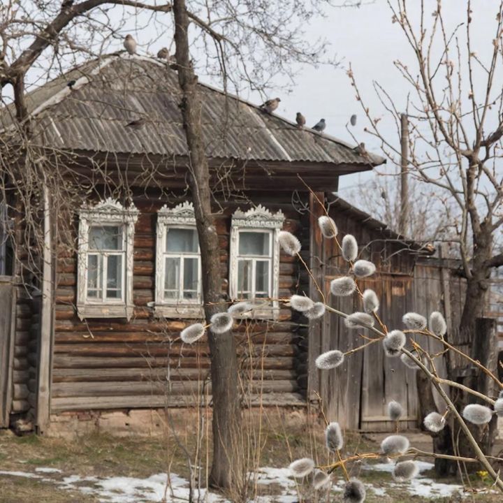 Народные приметы на 11 марта: что можно и нельзя делать в день Порфирия Позднего