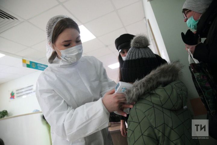 Роспотребнадзор Татарстанда  дуңгыз гриппы белән бәйле вазгыять турында сөйләде