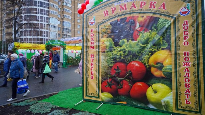 Татарстанда 14 марттан традицион авыл хуҗалыгы ярминкәләре эшли башлый