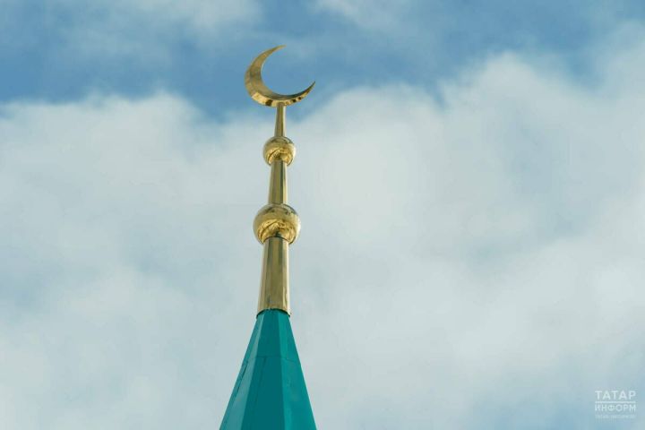 Шигъри мизгел