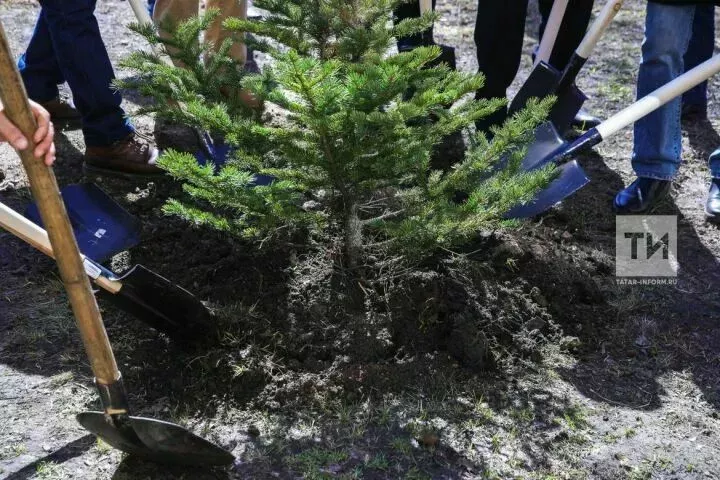 2026 елда Татарстан урман хуҗалыгы өчен 12 берәмлек техника сатып алачак