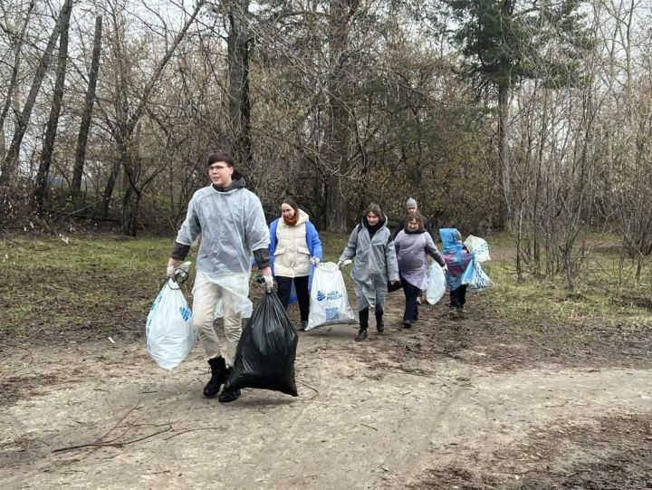 Центральный субботник прошел в парке Урицкого: 600 участников, 70 кедров и тонна любви к экологии