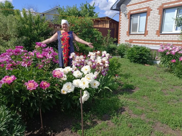 Кәрәкәстән Мөхәммәдиевлар тормышын чәчәкләр бизи