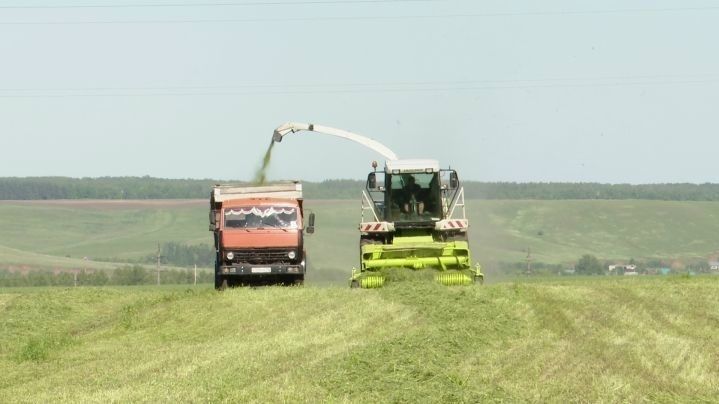Зәй аграрийлары терлек азыгы әзерләү чорына җаваплы карады