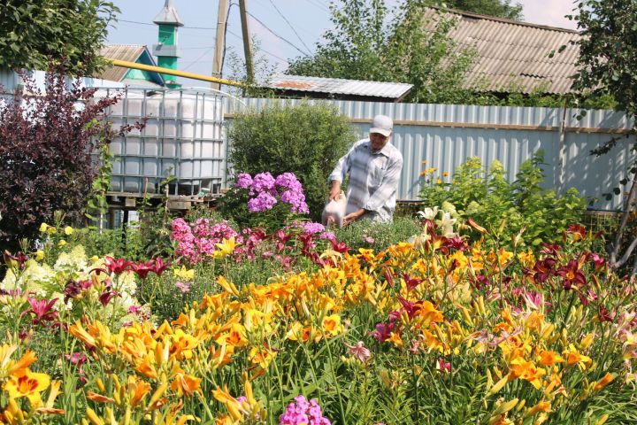 Бишсубашы авылыннан Галиуллиннар тормышын гөл-чәчкәләр бизи