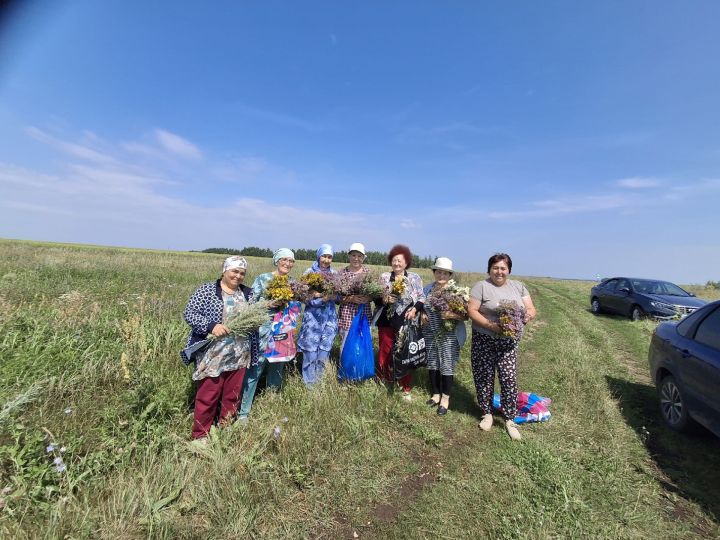 Сармашбашның маскировка челтәрләре үрүче апалары хәрбиләргә җибәрергә шифалы үләннәр җыйды