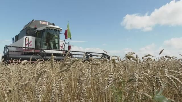 В Заинском районе уборочная страда набирает обороты