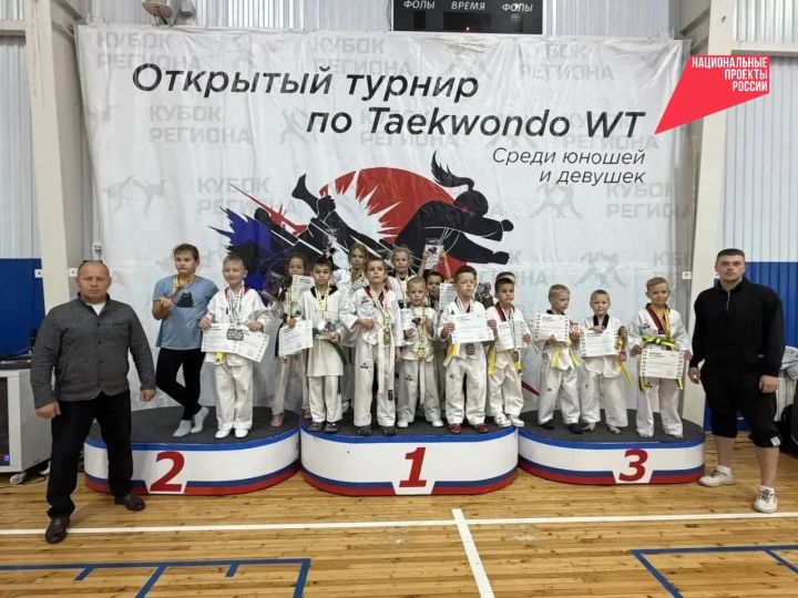 В Заинске прошел Открытый турнир по тхэквондо среди юношей и девушек «Кубок Региона»