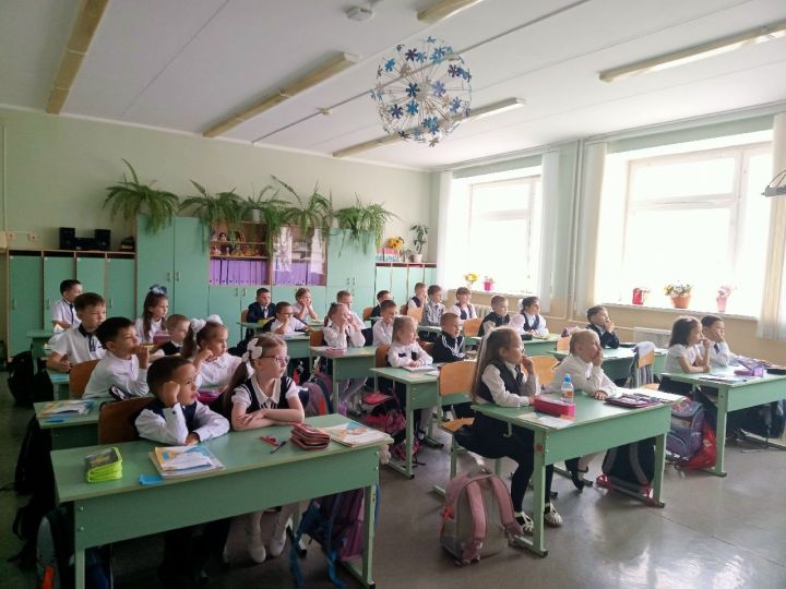В Заинской школе №7 прошли информационные часы «Безопасность на дороге»